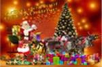 ANNULATION ARBRE DE NOËL ANNULATION ARBRE DE NOËL